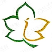深圳梧桐树