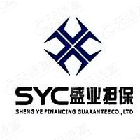 盛业融资法定代表人:唐雅 注册资本:11000万人民币 成立日期:2006-08