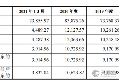 孙培松 法定代表人/高管/股东 海宁市高畅皮