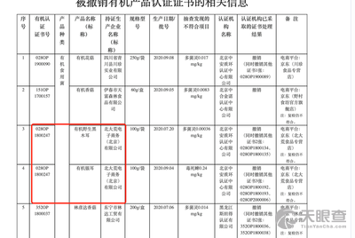 邓仁健 法定代表人/高管/股东 武汉象鲜科技