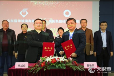 山东耀华公司总经理林成伦,凤阳凯盛硅材料有限公司董事长李龙及总