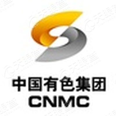 中国有色集团(广西)平桂飞碟股份有限公司