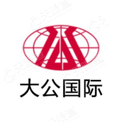 大公国际资信评估有限公司
