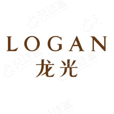 南宁市龙光房地产开发有限公司