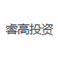 睿高投资