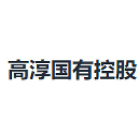 高淳国有控股
