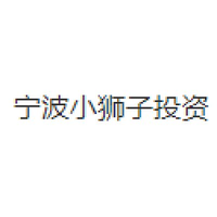 宁波小狮子投资