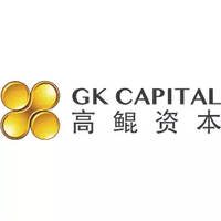 高鲲资本