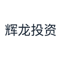 辉龙投资