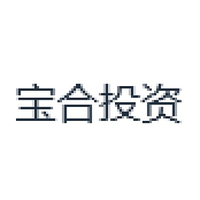 宝合投资