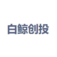白鲸创投