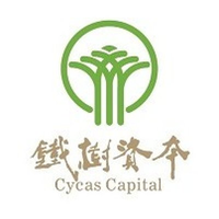 铁树资本
