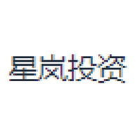 星岚投资