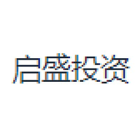 启盛投资