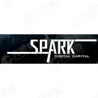 Spark Digital Capital