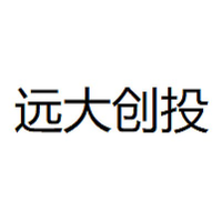 远大创投