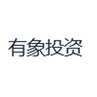 有象投资