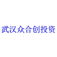 武汉众合创投资