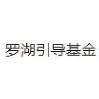 罗湖引导基金
