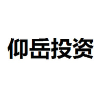 仰岳投资