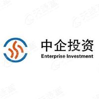 中企投资_LOGO