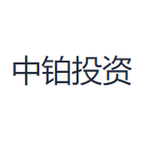 中铂投资