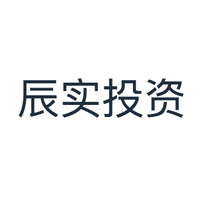 辰实投资