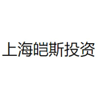上海皑斯投资