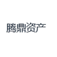 腾鼎资产