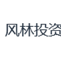 风林投资