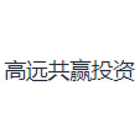 高远共赢投资