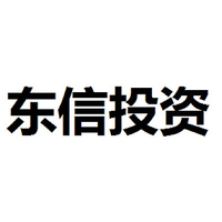东信投资