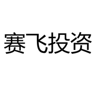 赛飞投资