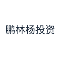 鹏林杨投资