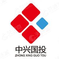 中兴国投_LOGO