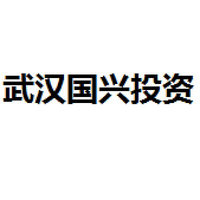 武汉国兴投资