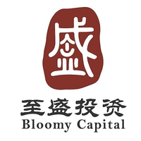 至盛投资