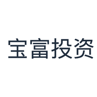 宝富投资