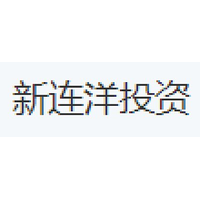 新连洋投资