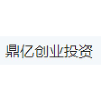 鼎亿创业投资