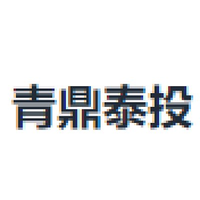 青鼎泰投
