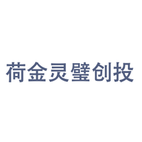 荷金灵璧创投