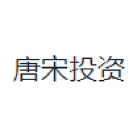 唐宋投资