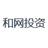 和网投资