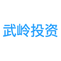 武岭投资