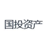 国投资产