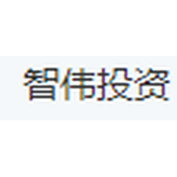 智伟投资