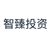 智臻投资
