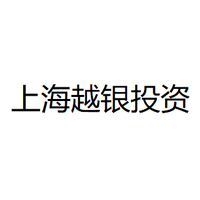 上海越银投资