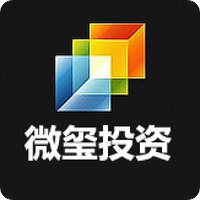 微玺投资